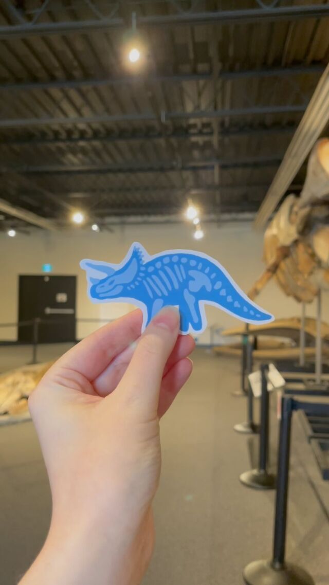 Stickers, stickers, stickers Come buy a cute dinosaur or whale sticker at our gift shop! Only $1 they are a cute reminder of your visit to the museum ___#stickers #stickershop #giftshop #shoplocal #museum #art #illustration #naturalhistory #naturalhistorymuseum #fossils #dinosaur #dinosaurartwork